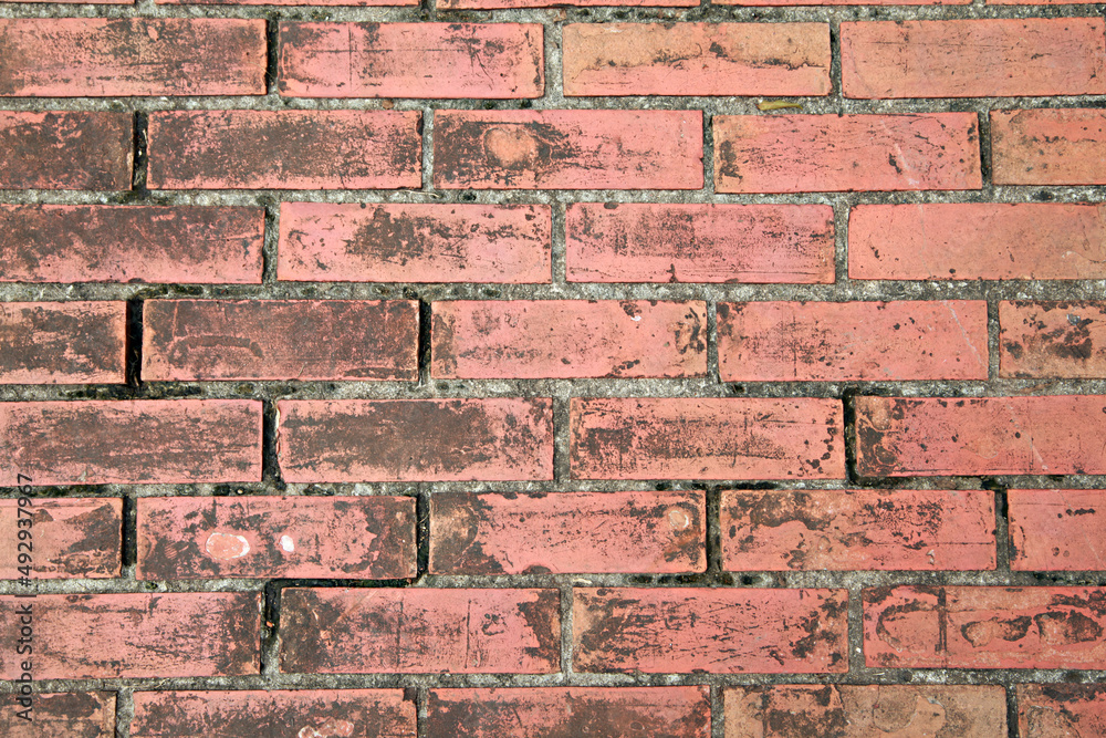 Fototapeta premium background brick wall