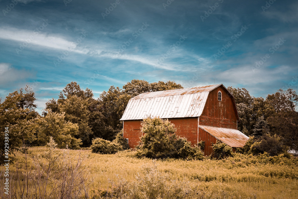 homestead farm prairie red barn overgrown abandoned empty vintage landscape plain homestead farm prairie red barn overgrown abandoned empty vintage landscape plain
