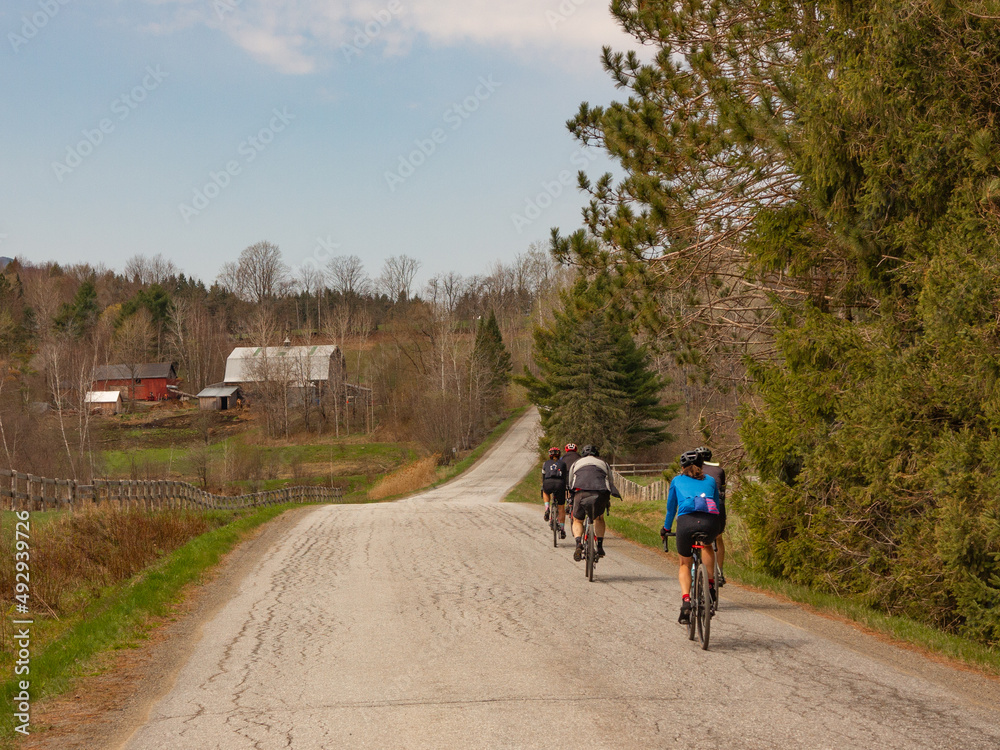 a group of cyclist doing gravel bike in a nice countryside road on a sunny day during spring time