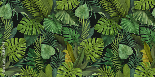 Green seamless tropical wallpaper. Pattern with tropical leaves of monstera, palm, banana. Dark plant background. Great for fabric, wallpaper, paper design