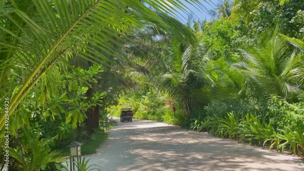 Golf car going on tropical Maldives road between trees Golf car going on tropical Maldives road between trees