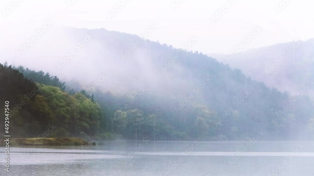 Fresh spring rain falling over a calm lake with clouds and fog, beautiful birdsong and beautiful natural landscape in a green forest valley Fresh spring rain falling over a calm lake with clouds and fog, beautiful birdsong and beautiful natural landscape in a green forest valley