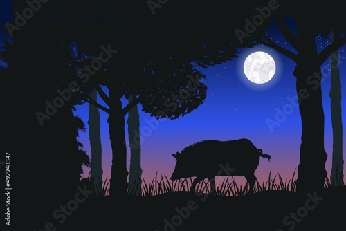 Colorful vector. Premium. Boar silhouette. Forest.