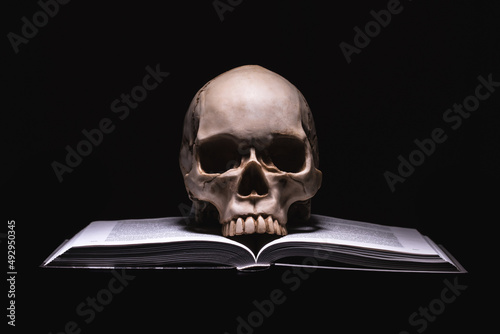 Skull on a black background with books