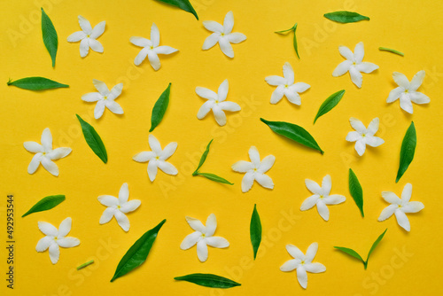 white flowers, leaves and petals pattern isolated on yellow background. flat lay, overhead view.