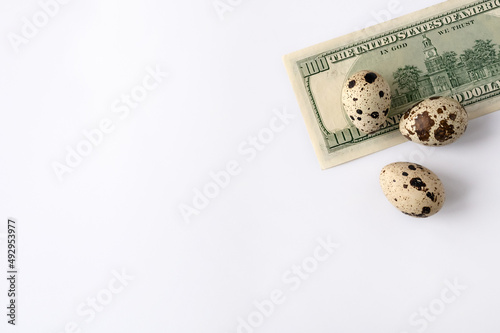 quail eggs and money on white background for sale to client. Business of quail breeding, poultry farming. Healthy food, buying eggs for Easter holiday. Copy space