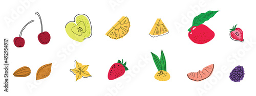 Set of fruit flat illustration. Cocktail garnish. Vector illustration of citrus