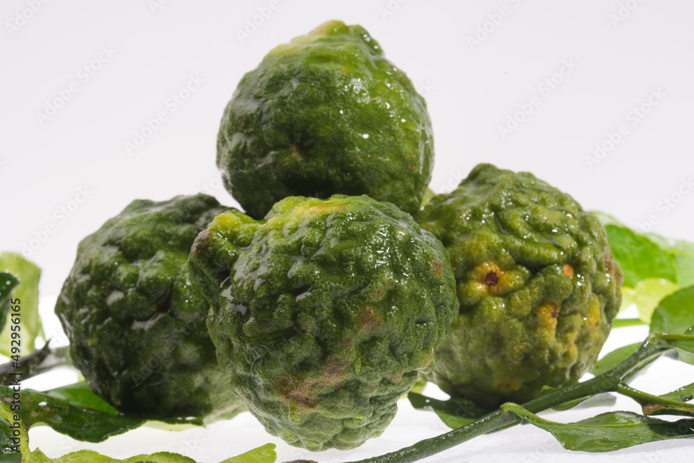 Obraz premium Fresh bergamot herb closes up on the white background. 