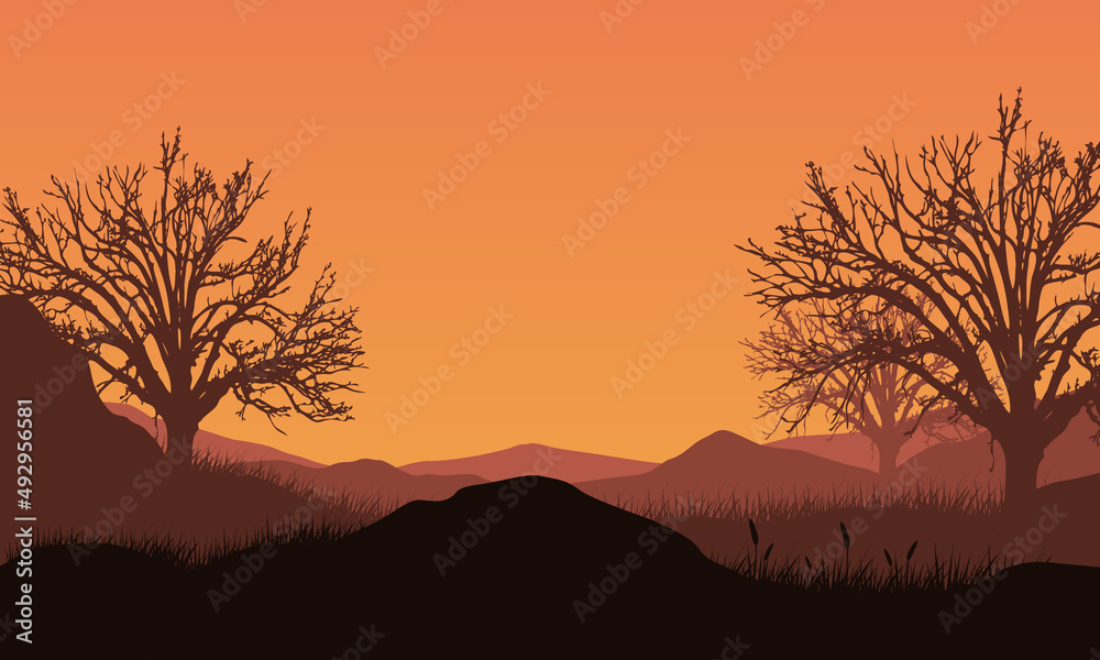 Great mountain view from forest edge with an aesthetic silhouette of dry pine trees
