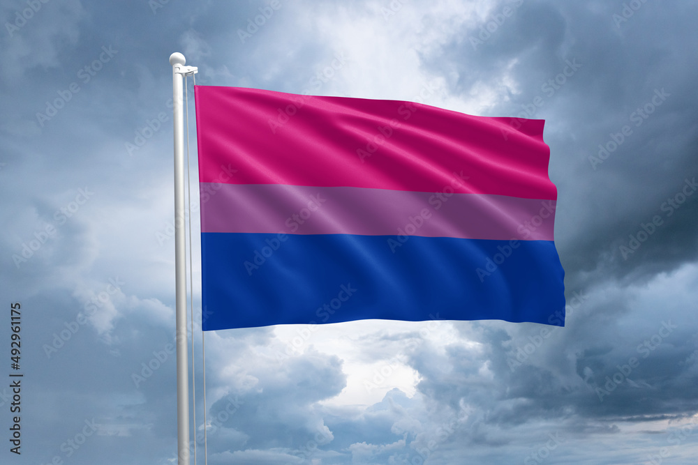 LGBTQIA+ Bisexual pride flag. Bisexuality flag symbol in the lgbt community LGBTQIA+ Bisexual pride flag. Bisexuality flag symbol in the lgbt community