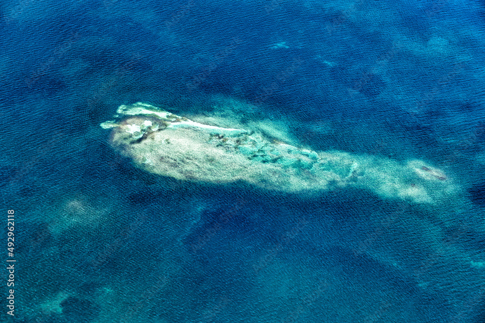 Fototapeta premium Aerial view of Grand Cul de Sac Marin, Basse-Terre, Guadeloupe, Lesser Antilles, Caribbean.