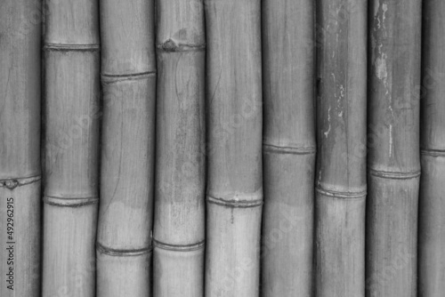 Gray texture of bamboo wood, background.