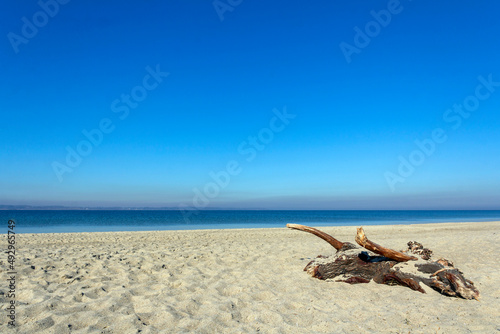 Beautiful beach on the Baltic Sea