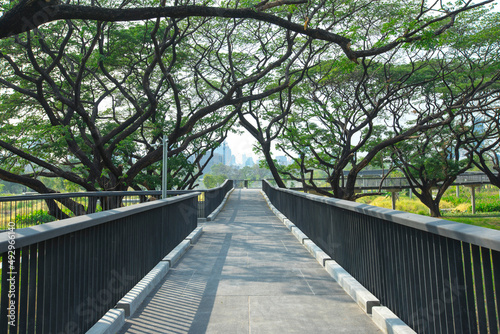 Fototapeta Naklejka Na Ścianę i Meble -  Benjakitti Forest Park, is new landmark public park of central Bangkok in Bangkok, Thailand.