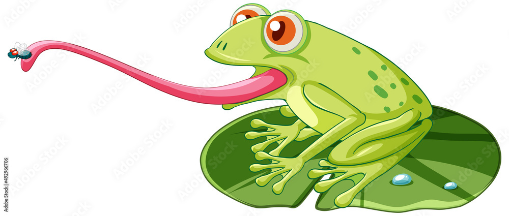 Obraz premium A frog on lotus leaf and catching insect