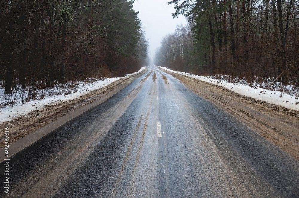 Country road goes into the distance through the forest, winter scene