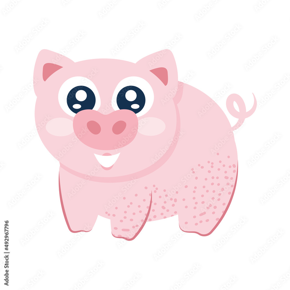 cute pig animal