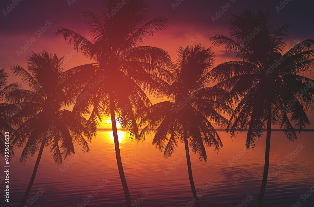 silhouette palm tree and sea at sunset summer nature background