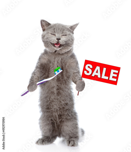 Happy cat holds toothbrush with toothpaste and shows sales symbol. isolated on white background