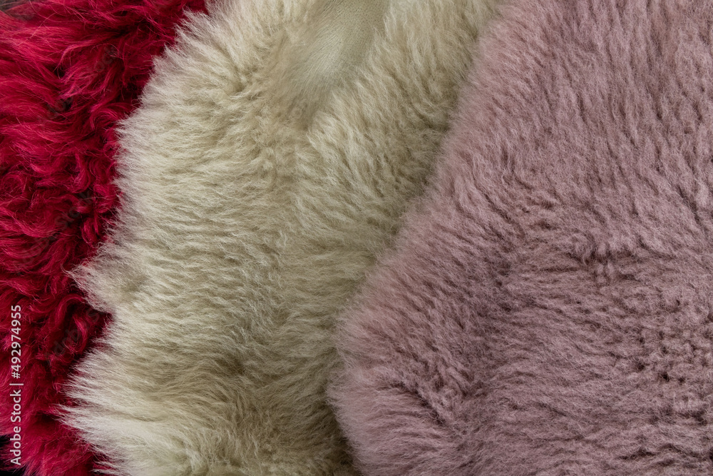 Leather fabrics obtained from natural animals, not yet processed. colored leather pieces hanging Leather fabrics obtained from natural animals, not yet processed. colored leather pieces hanging