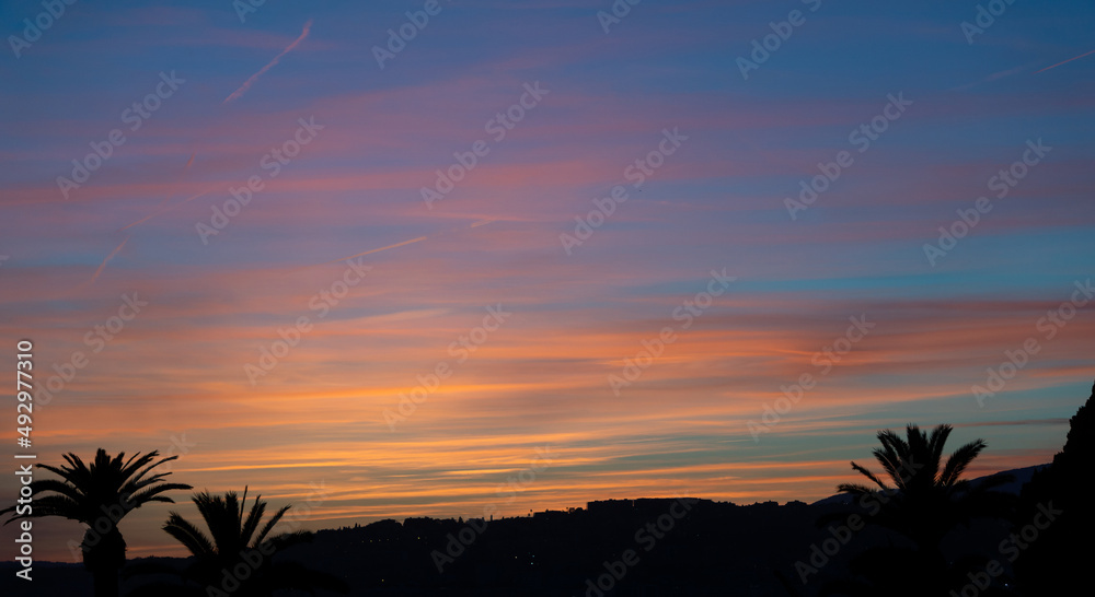 Exotic sunset landscape that captures the silhouettes of palm trees and buildings from the Nice city.