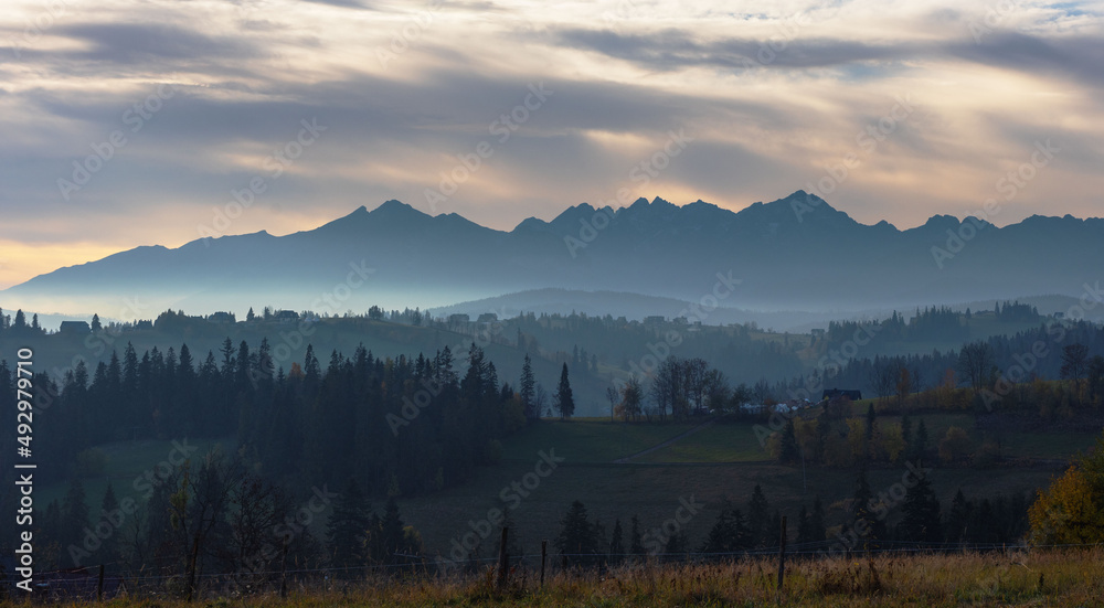Fototapeta premium Fog in the mountain forest with yellow and red leaves, top view