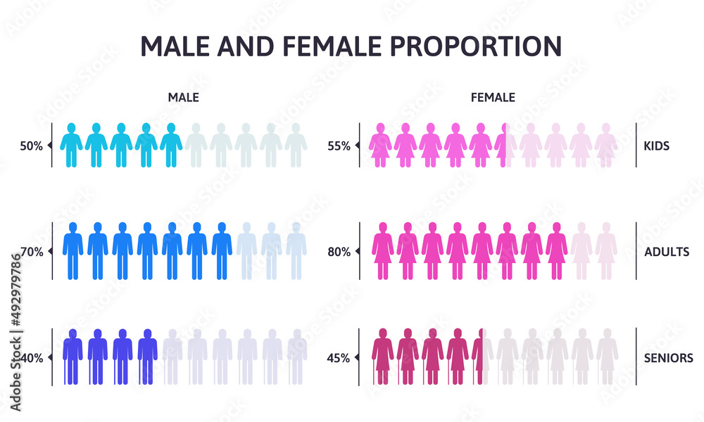 Male and female population groups infographic. Percentage man and woman