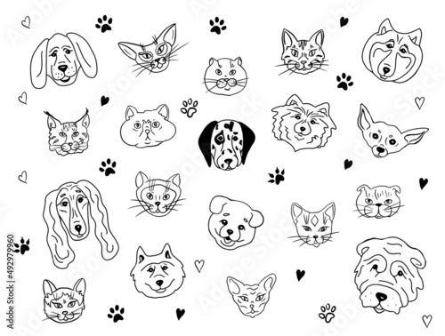 Fototapeta Naklejka Na Ścianę i Meble -  Set of pet portraits.Cats and dogs of different breeds together.Vector illustration.Drawn in doodle style.