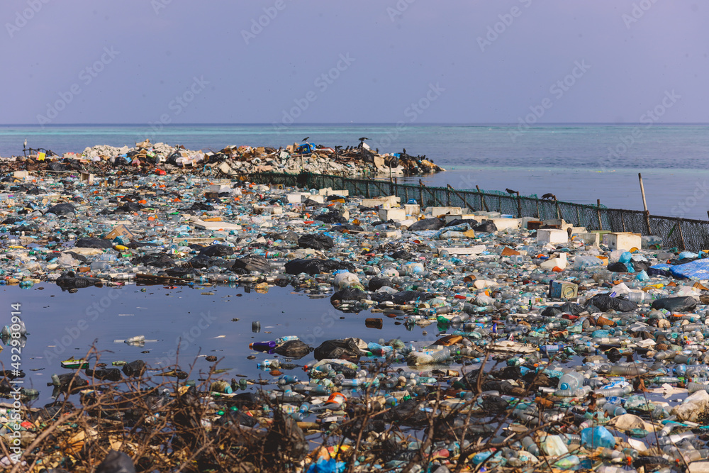 Ecological Problem from Fuming Waste Dump on the Coastline of Maafushi Island, Maldives