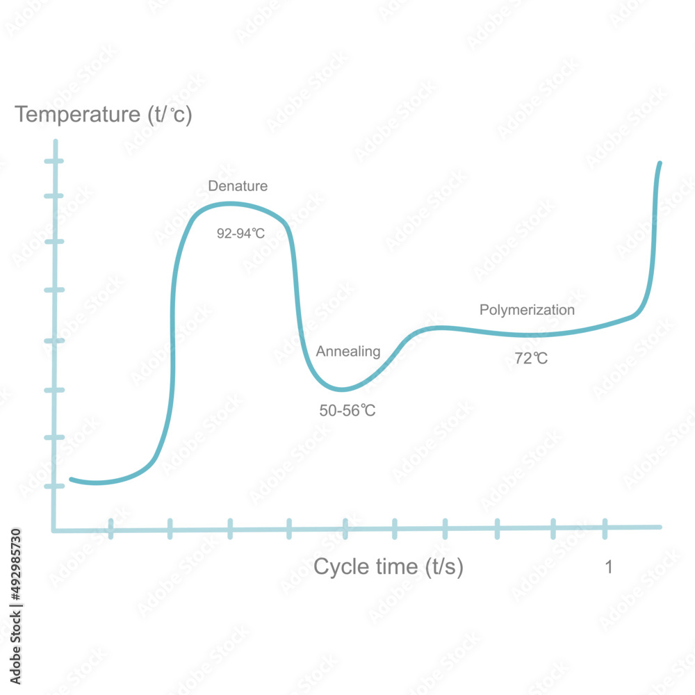 The correlation between the temperature (C) and cycle time (s) for  polymerase chain reaction (PCR) step that represented the bule line graph  Stock Vector | Adobe Stock