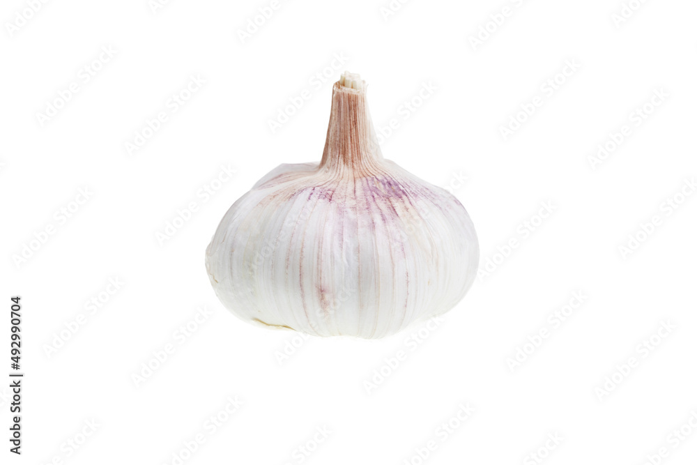 Garlic Isolated Pure White Background