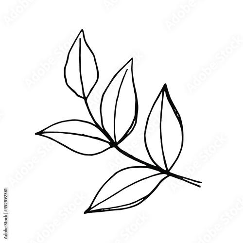 Black outline of a branch with leaves on a white background