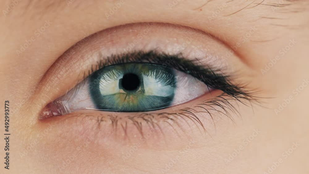 Open eyes. Impressive look of young girl in close-up. Girl's eyes look at the camera. Open eyes. Impressive look of young girl in close-up. Girl's eyes look at the camera.