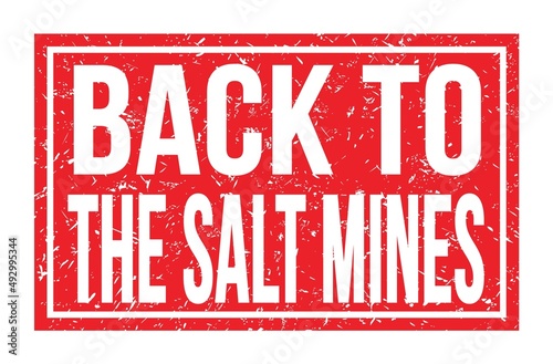 BACK TO THE SALT MINES  words on red rectangle stamp sign