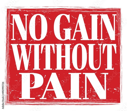 NO GAIN WITHOUT PAIN  text on red stamp sign