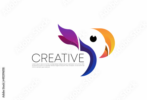 Abstract parrot logo gradient multicolored