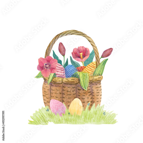 Wicker basket with Easter eggs  spring flowers and leaves on a grass hand drawn watercolor illustration.