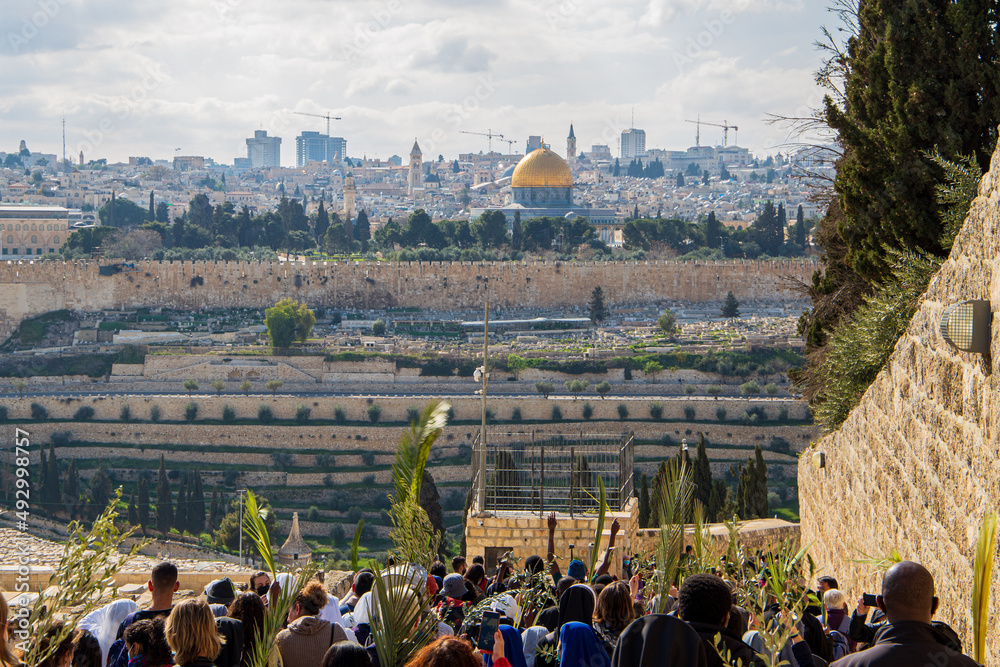Fototapeta premium palm sunday in jerusalem mount of olives