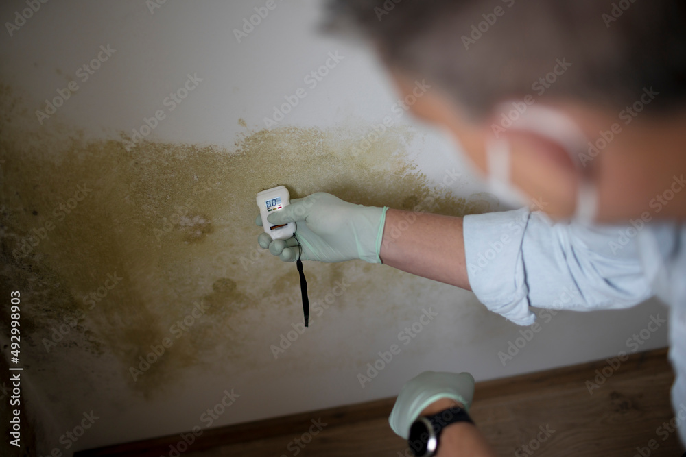 Man with nose mouth protection measures the moisture level on a wall with mold in an apartment - obrazy, fototapety, plakaty 