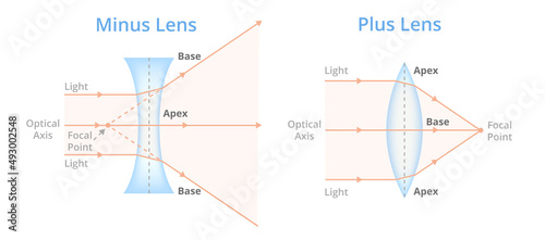 Vector illustration of minus and plus lens isolated on white background. Convex or converging lens, concave or diverging lens. Plus lenses – prisms base to base. Minus lenses – prisms apex to apex. photo
