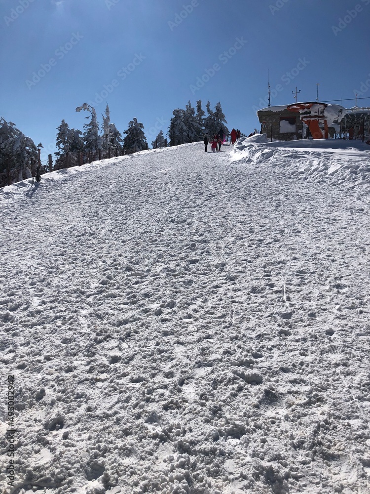 Poiana Brasov ski resort slopes on a sunny winter day Poiana Brasov ski resort slopes on a sunny winter day