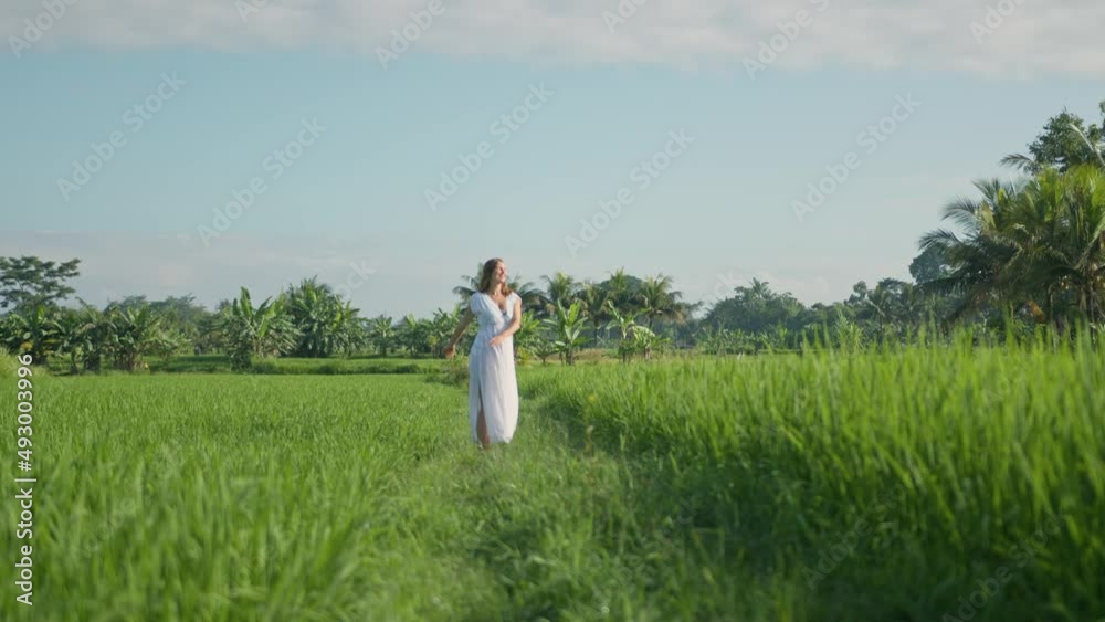 Pregnant woman going at the field with green grass and dance with happy face. Sunshine summer vibes Pregnant woman going at the field with green grass and dance with happy face. Sunshine summer vibes