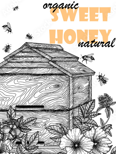 Vector illustration banner template for beekeeping. Graphic linear wooden beehive in clover and rosehip flowers and bee