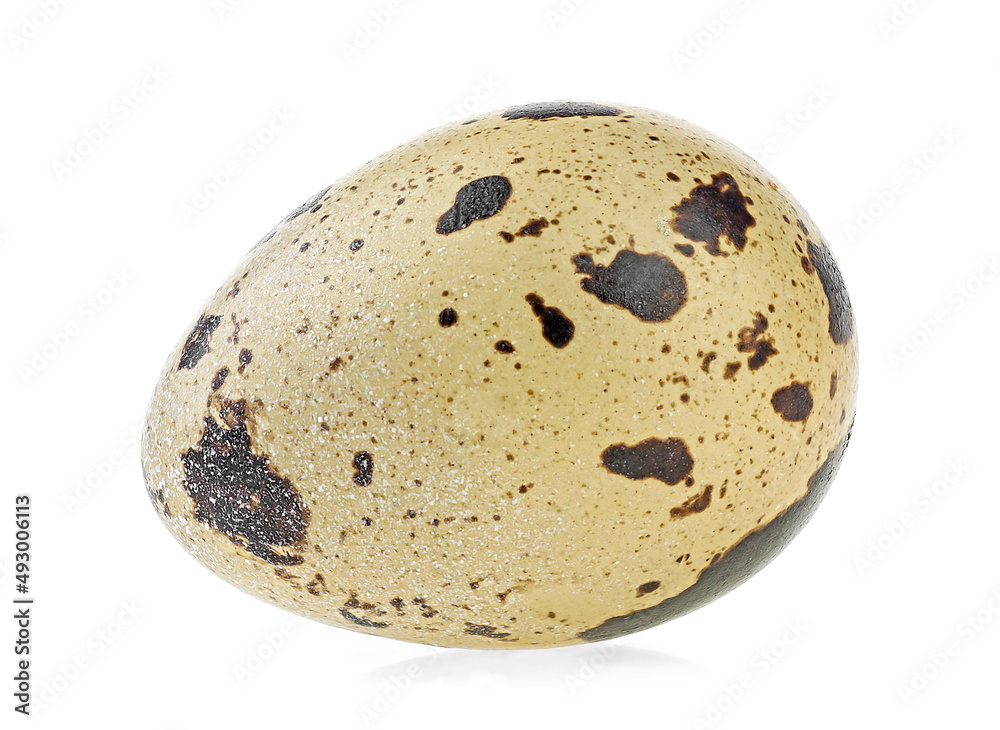 Quail egg isolated on a white background. Nature product. Quail egg isolated on a white background. Nature product.