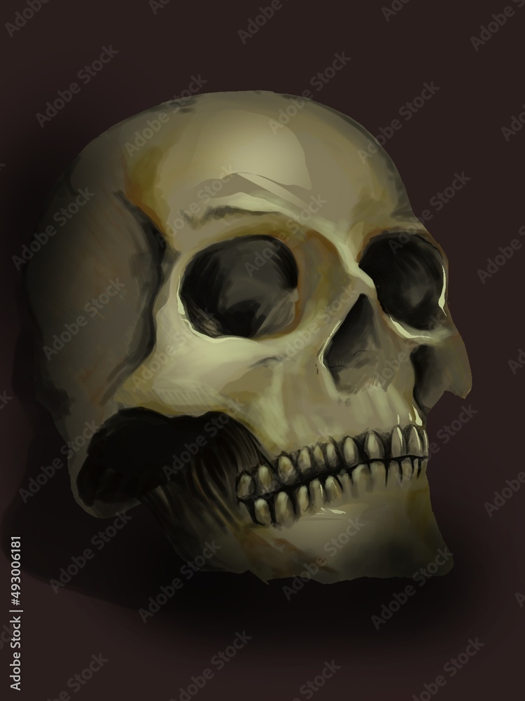 Obraz premium ilustración cráneo