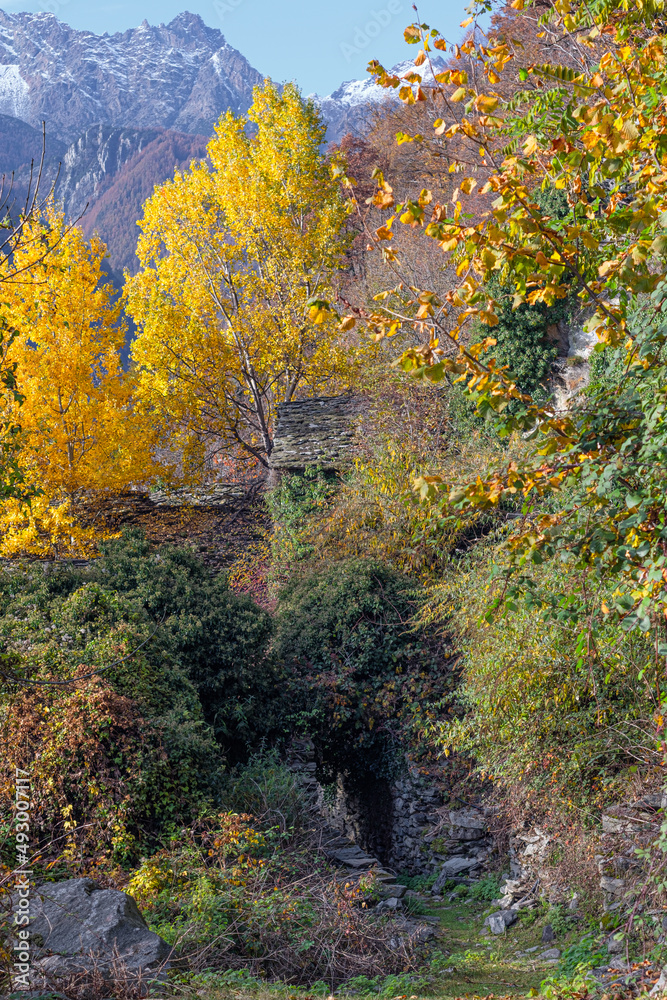 Autunno nel villaggio abbandonato-Valtellina-Lombardia-Valmalenco-italia Autunno nel villaggio abbandonato-Valtellina-Lombardia-Valmalenco-italia