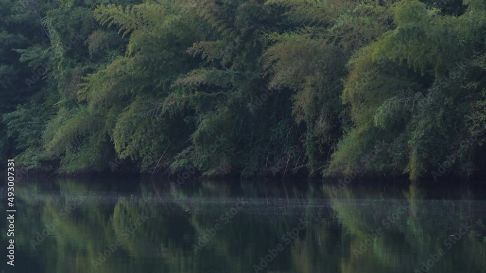 Morning in the jungle, beautiful river kwai in kanchanaburi province,Thailand. vacation and travel concept. Morning in the jungle, beautiful river kwai in kanchanaburi province,Thailand. vacation and travel concept.