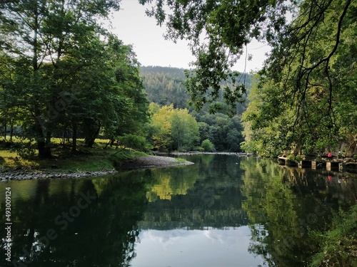 Backwater of a European mountain river flowing through a deciduous forest.
