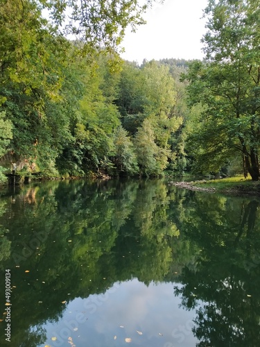 View of a quiet riverbed among leafy trees.
