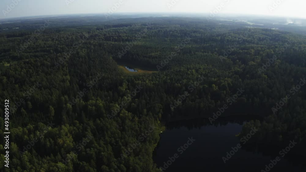 Drone shot of a lake and green forest around during daytime Drone shot of a lake and green forest around during daytime